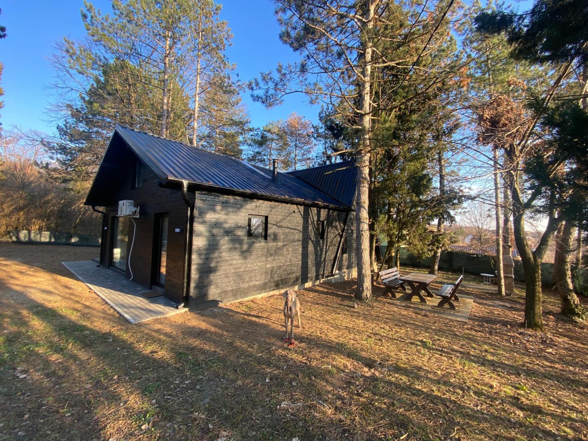 Villa Kuca Za Odmor Vrdnik Exterior foto